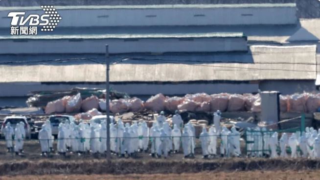 蛋荒还没解除 日养鸡场大火15万只蛋鸡惨被烧死