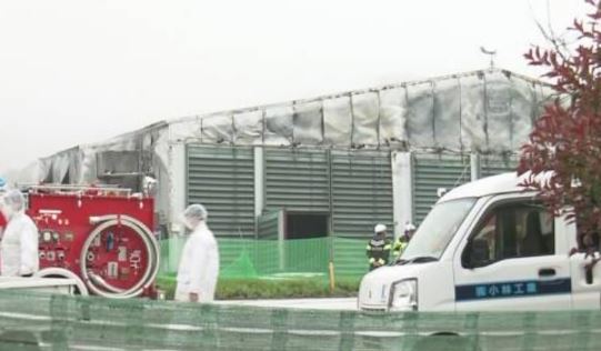 蛋荒还没解除 日养鸡场大火15万只蛋鸡惨被烧死