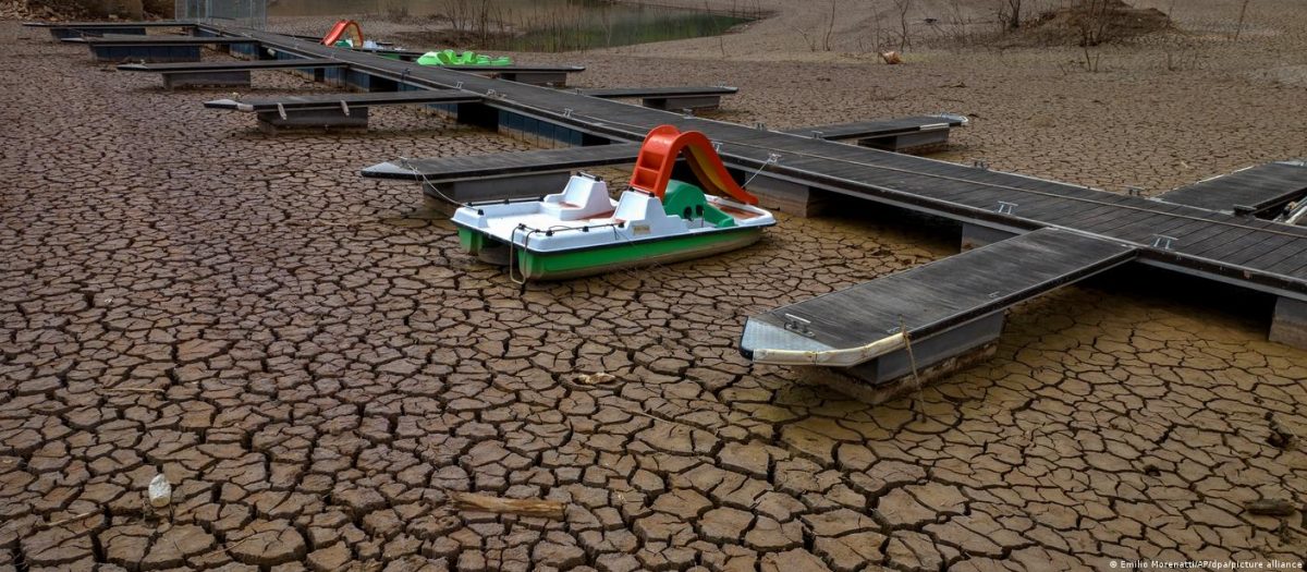 西班牙千年大旱冲击农业 农人更怕“这动物”