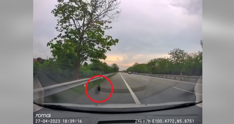 视频 | 大道开车轮胎突然脱落!司机一举动免车祸获赞