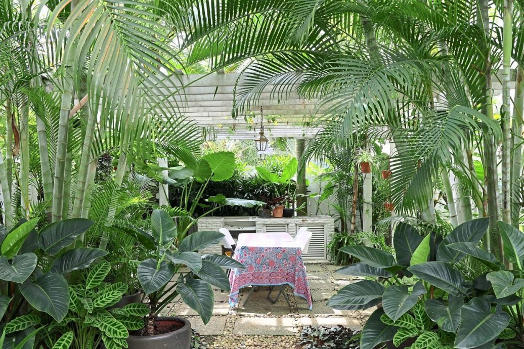 视频 | 旺师傅豪宅犹如人间天堂!空中花园还有小菜园 下厨食材超新鲜