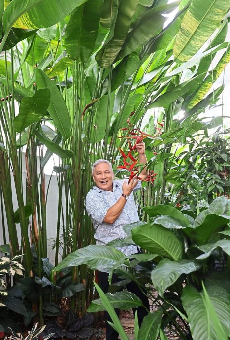视频 | 旺师傅豪宅犹如人间天堂!空中花园还有小菜园 下厨食材超新鲜