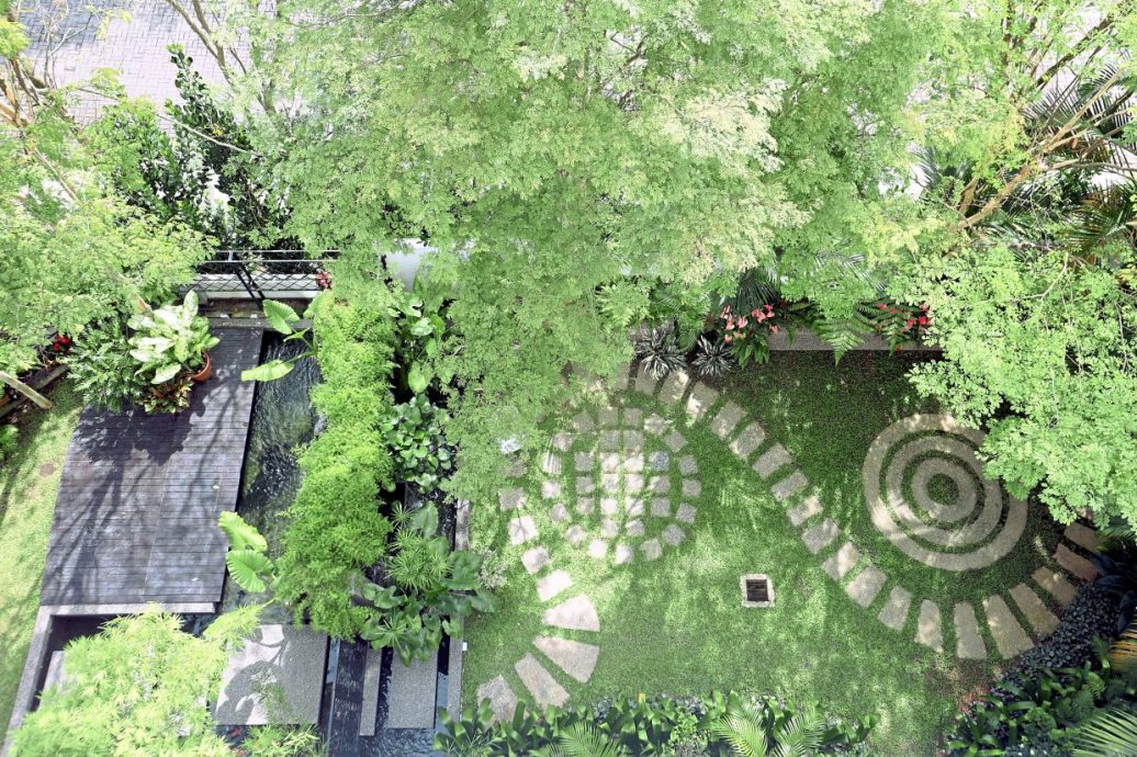 视频 | 旺师傅豪宅犹如人间天堂!空中花园还有小菜园 下厨食材超新鲜