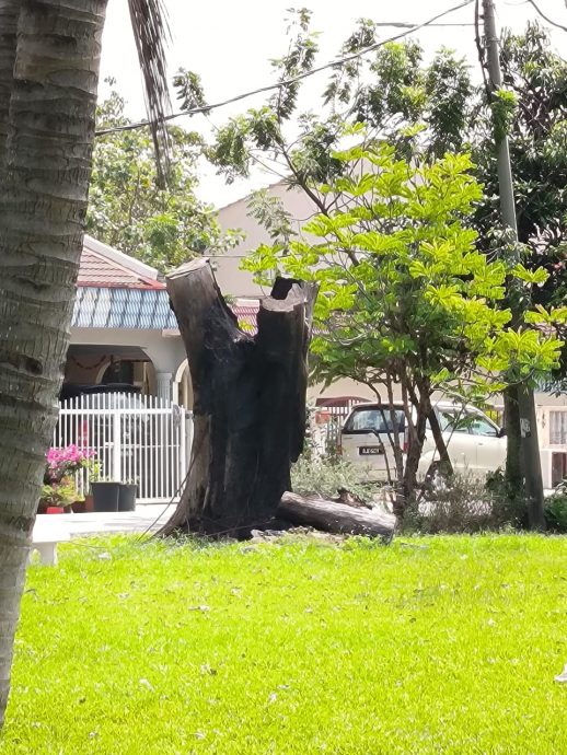 违建露天焚烧垃圾沟塞 巴生公园“疑难杂症”多