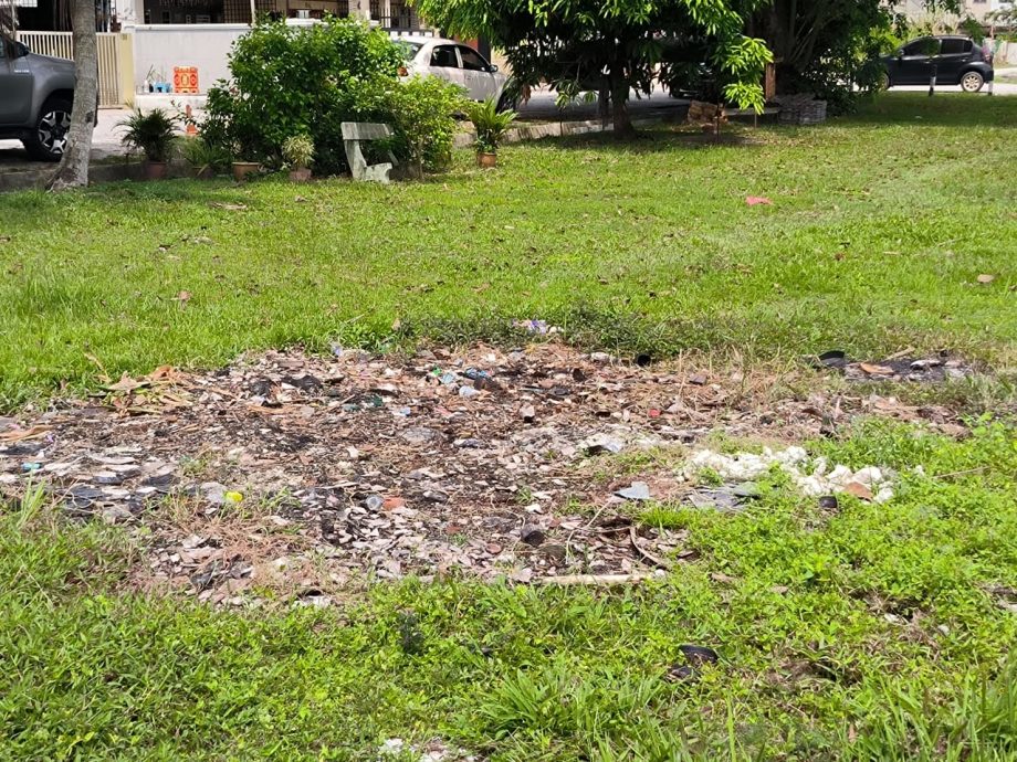 违建露天焚烧垃圾沟塞 巴生公园“疑难杂症”多