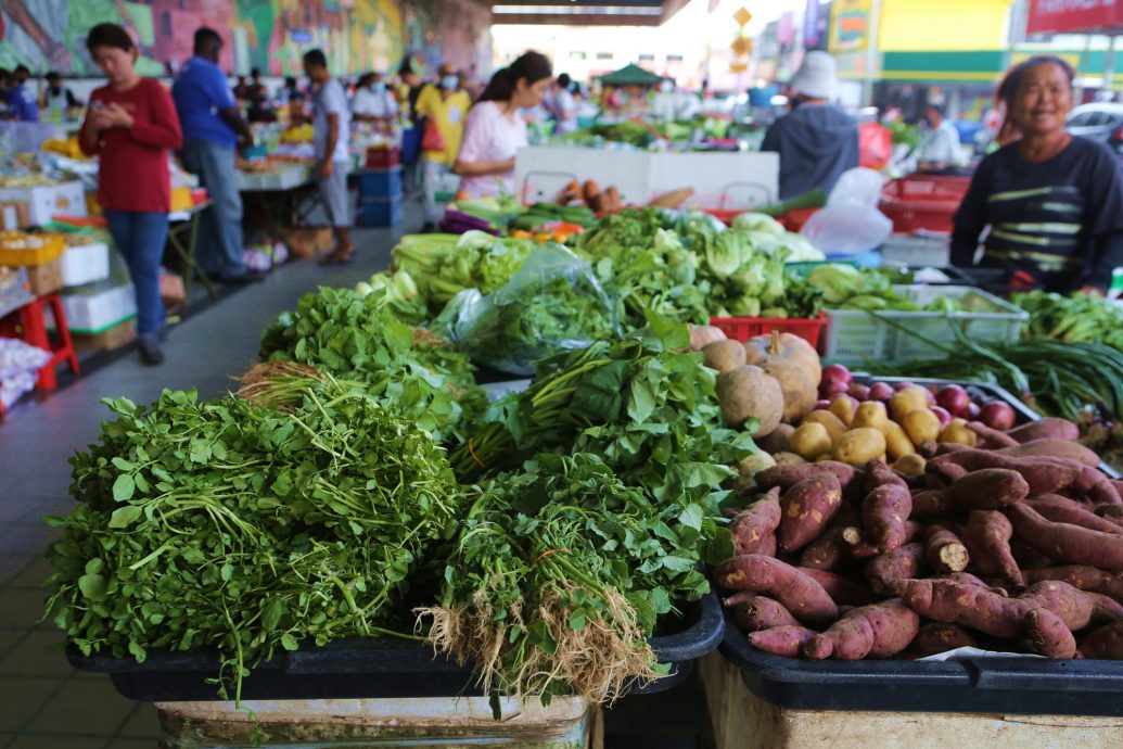 阳光足雨水多生产稳 收成好吃便宜菜