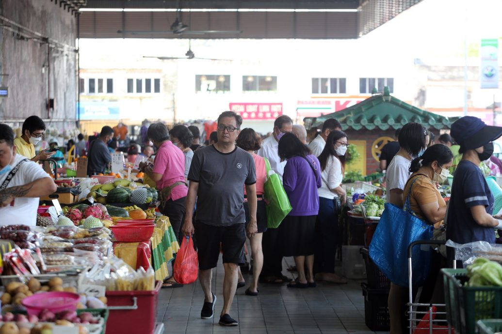 阳光足雨水多生产稳 收成好吃便宜菜