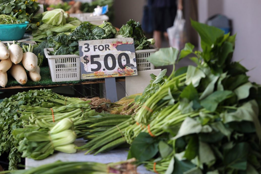 阳光足雨水多生产稳 收成好吃便宜菜