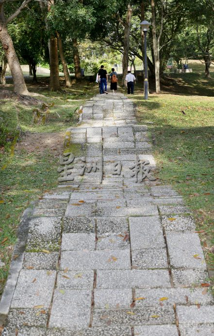 霹:封底主文/获首相颁大红花景观奖 翠林城生态公园1鸟语花香顺应自然