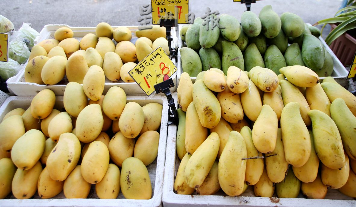 霹:未签网/第二版头/天气酷热消暑解渴 西瓜木瓜热销