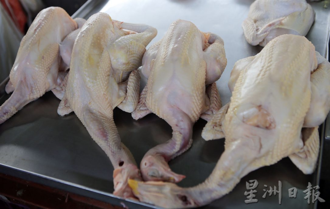 霹：第二版头／开斋节连假后 鸡猪供应稳定