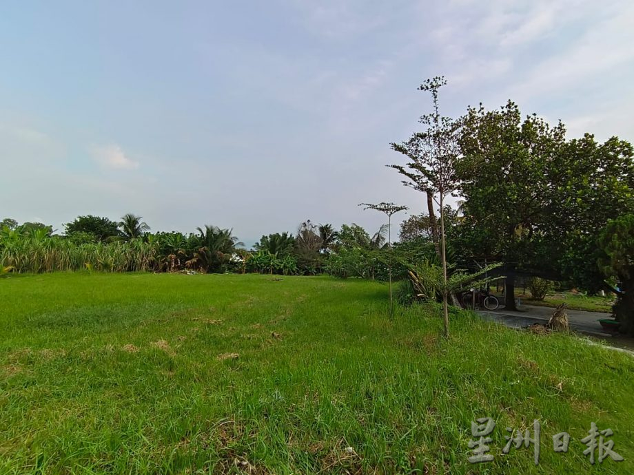 霹:/巴占光景园大扫除 草场耕作滋生蚊虫 怡市厅:限14天清理