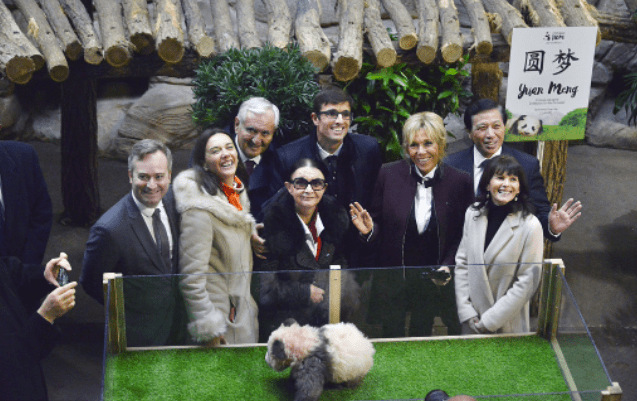 马克龙想续租大熊猫,总统夫人还是熊猫“干妈”