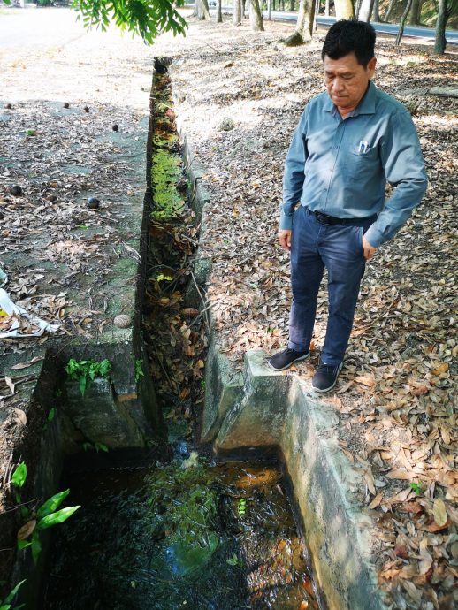 (古城3主文)5年来没定期除草清渠,武吉南眉工业区杂草丛生、满地枯叶,厂商怨有如被遗弃的“弃婴”
