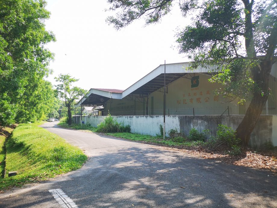 (古城3主文)5年来没定期除草清渠,武吉南眉工业区杂草丛生、满地枯叶,厂商怨有如被遗弃的“弃婴”