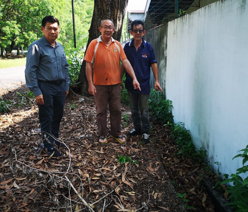 (古城3主文)5年来没定期除草清渠,武吉南眉工业区杂草丛生、满地枯叶,厂商怨有如被遗弃的“弃婴”