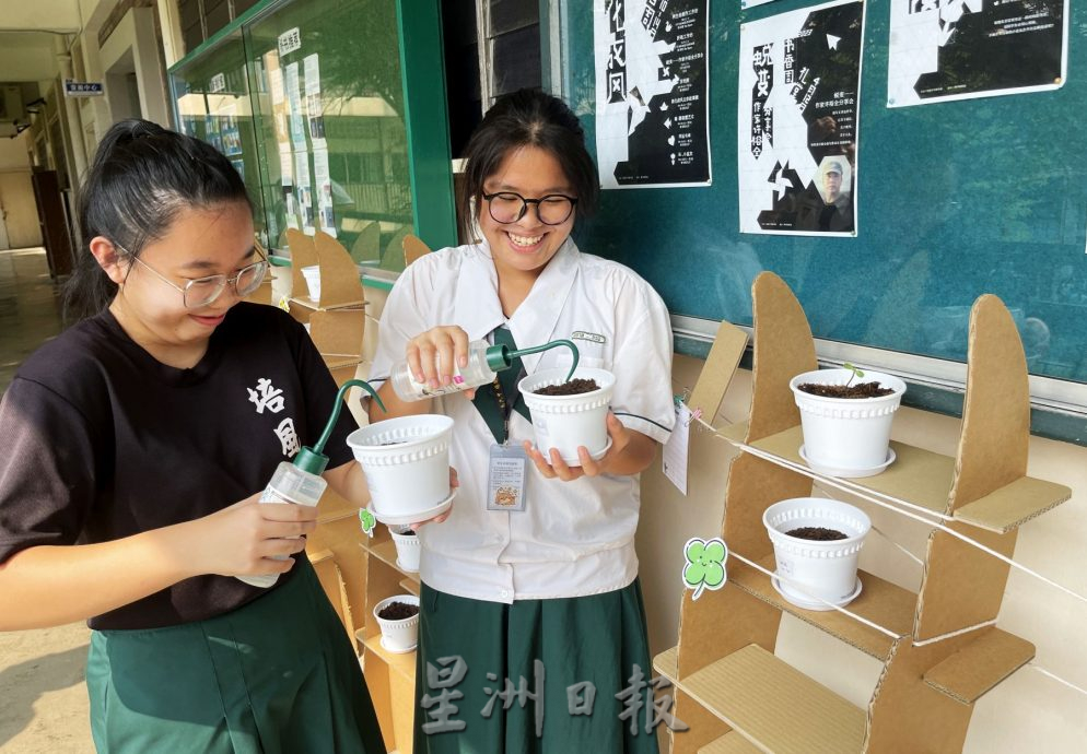 （古城封底主文）【带你去找爱】：将纸化为装置艺术品的爱