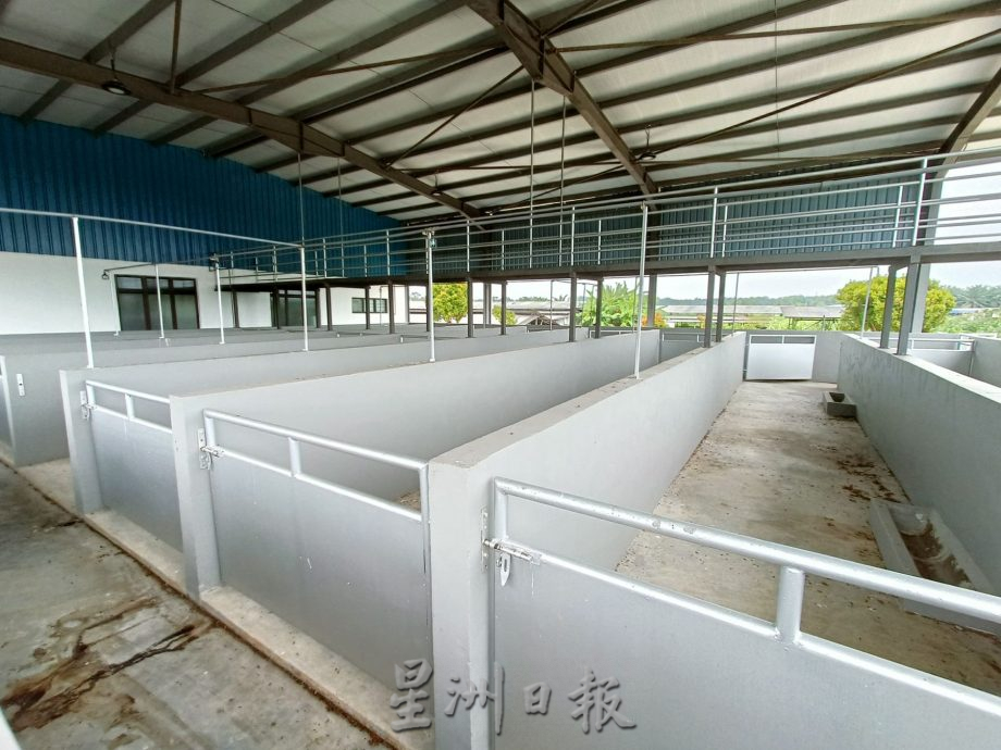 (古城封面主文)副农长与猪农交流·建议现代化养猪