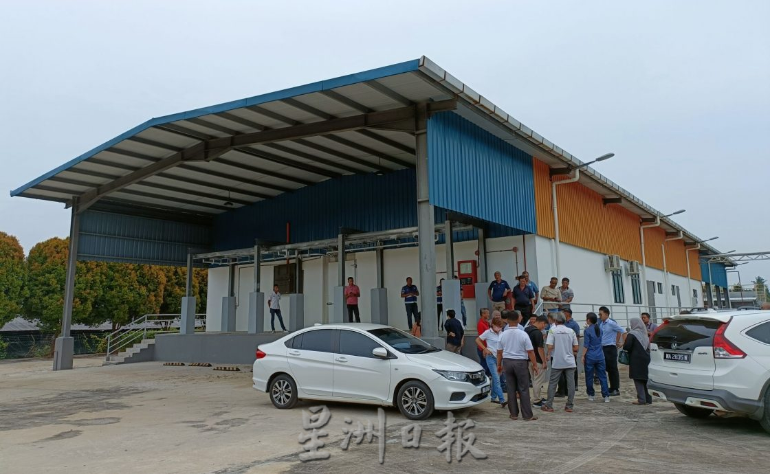 (古城封面主文)副农长与猪农交流·建议现代化养猪