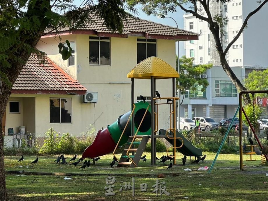 （古城封面主文）组屋卫生恶劣垃圾槽饱满 外劳高空丢垃圾车辆“中招”