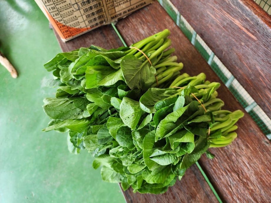 （古城封面主文）蔬菜过剩烂价、假期巴刹没开，菜农倒掉过剩蔬菜、砍掉重种并期望下一波好价格
