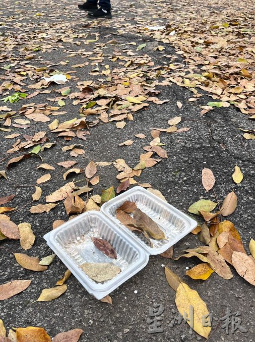 （古城版）爱极乐成堆落叶未获清理，恐衍生卫生课题