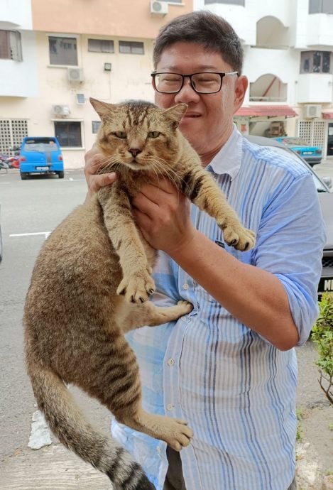 (古城第三版主文)照顾卫生下喂养流浪动物·打造爱心社会