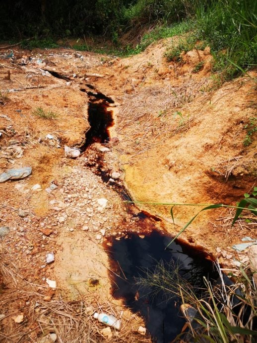 (古城第四版主文)双溪乌浪垃圾山偷偷将污水通过别人园坵排