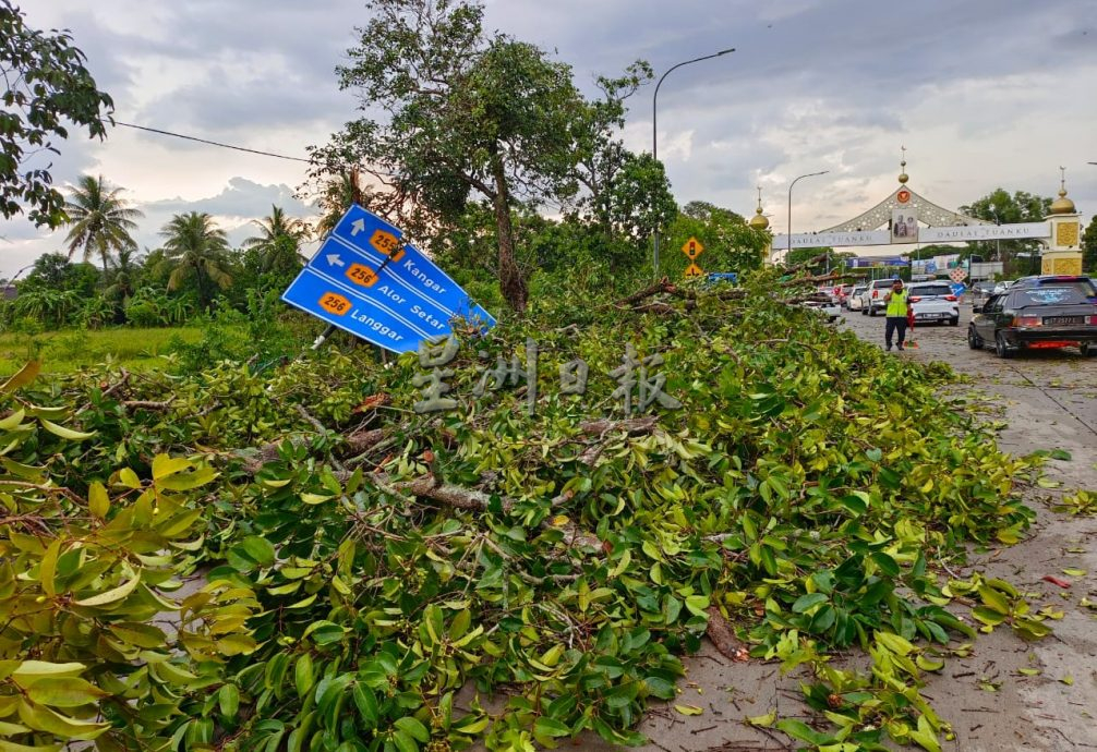 午后一场暴风雨,风灾袭卷亚罗士打北部一带,。