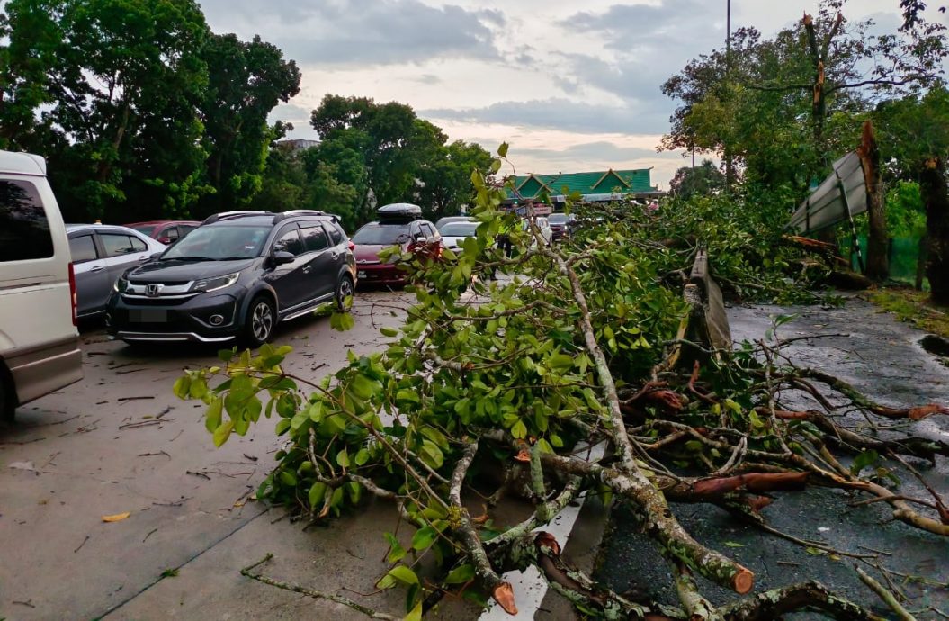 午后一场暴风雨,风灾袭卷亚罗士打北部一带,。