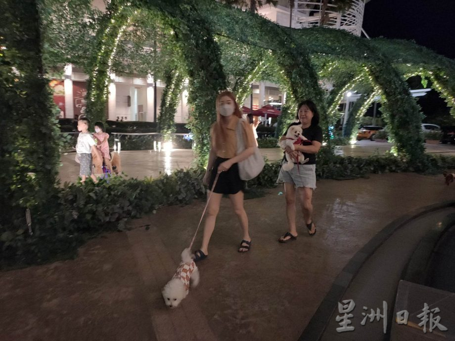 +(大北馬)帶毛孩逛市集