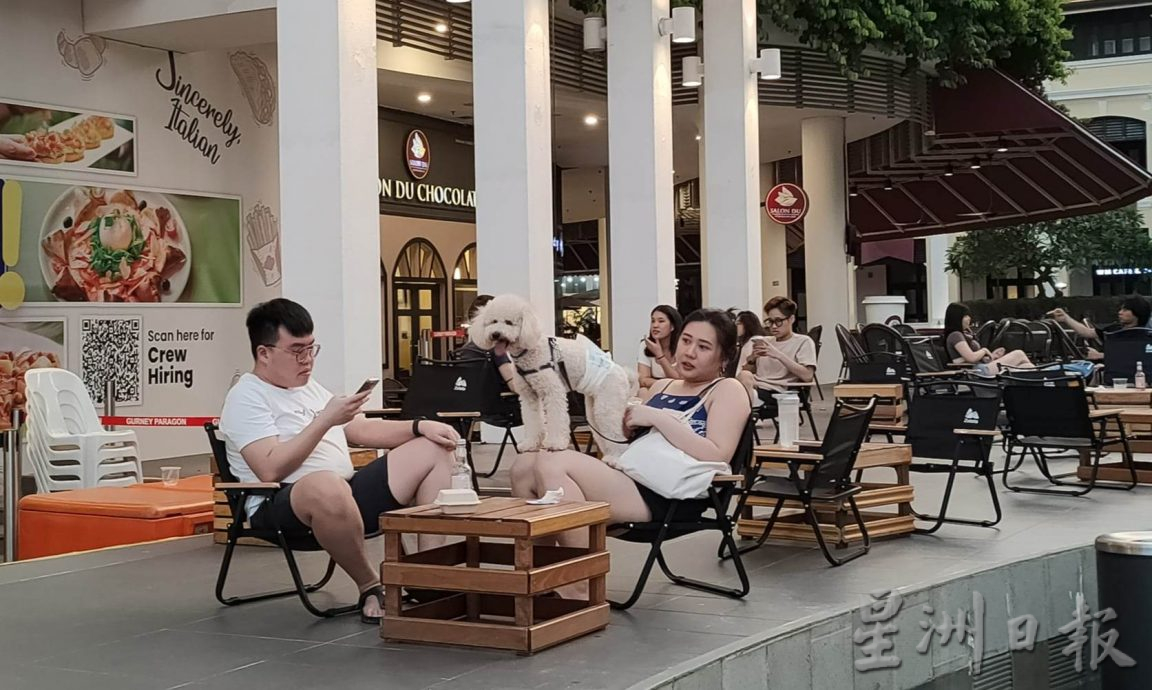+(大北馬)帶毛孩逛市集