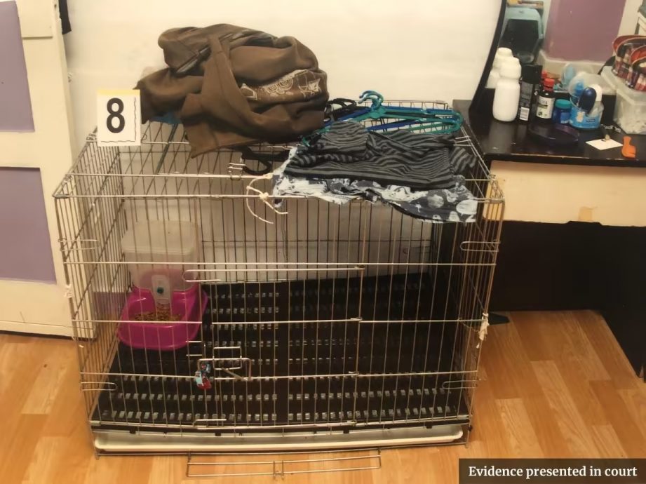 (已签发)柔:狮城二三事:全身烫伤被关猫笼 狮城警方揭露5岁童遭父母虐死