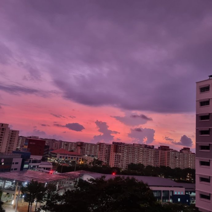 (已签发)柔:狮城二三事:出现粉红橙色紫色 新加坡天空现奇景