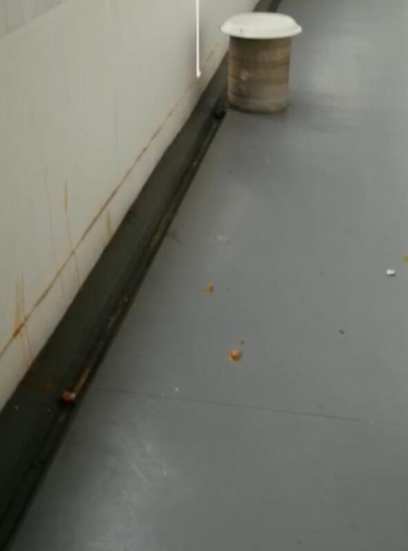 （已签发）柔：狮城二三事：后港居民申诉 楼下邻居涉上门丢鸡蛋泼咖喱汁