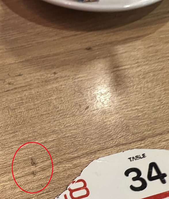 (已签发)柔:狮城二三事:食客申诉:西餐厅用餐 蛆虫从天降