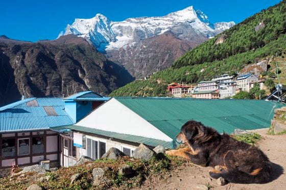 Kim Teoh/高原,遇见生活
