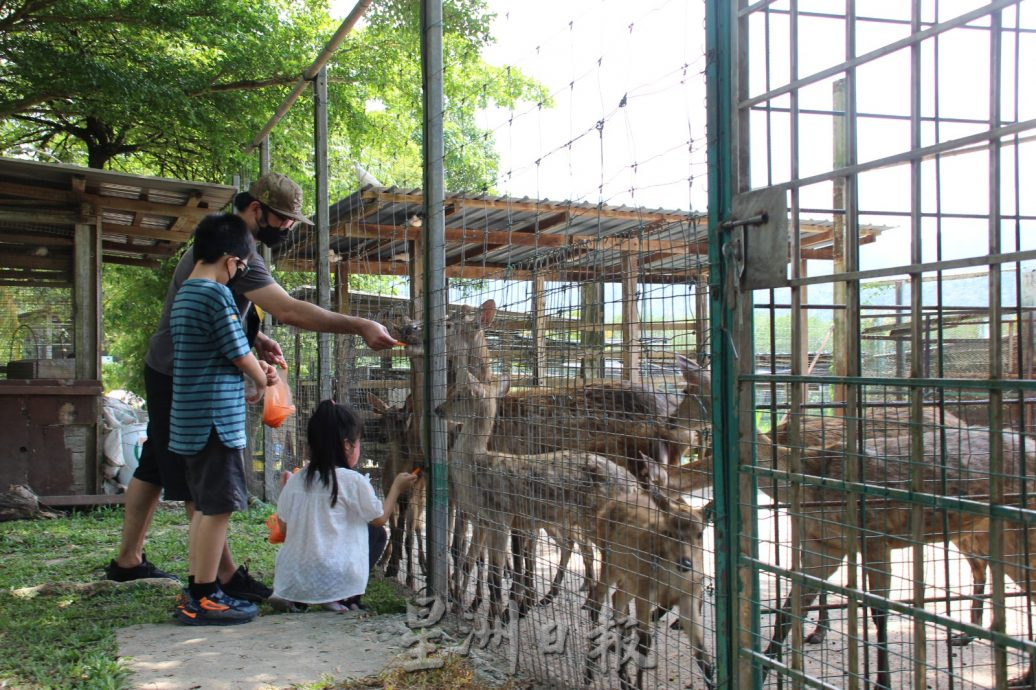 NS主文/武来岸新兴元素不断注入,景区营地餐馆逢周末近爆满