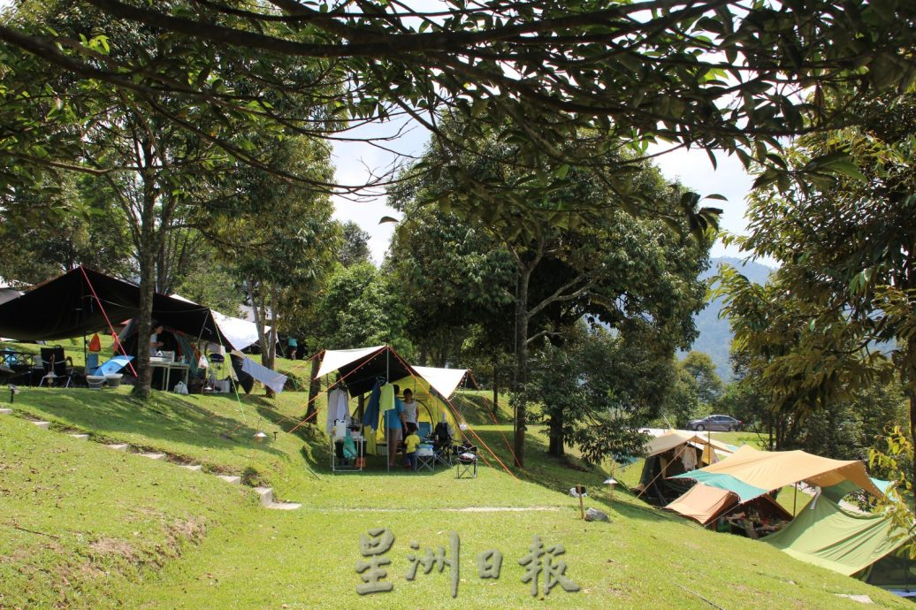 NS主文/武来岸新兴元素不断注入,景区营地餐馆逢周末近爆满