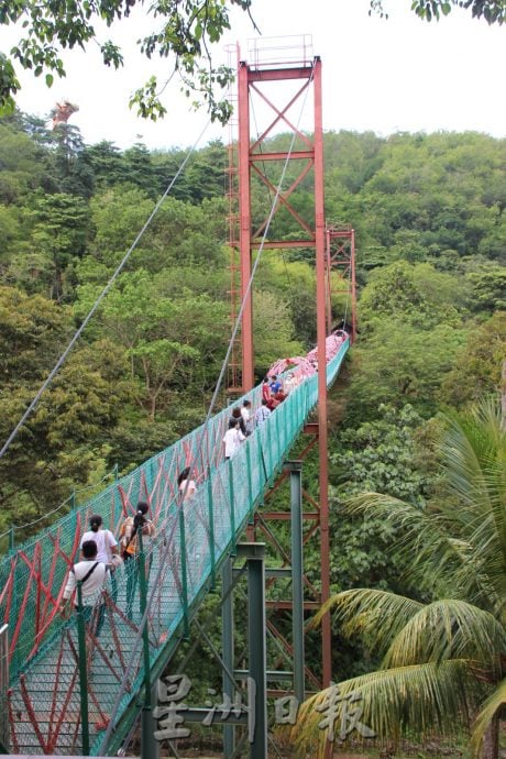 NS主文/武来岸新兴元素不断注入,景区营地餐馆逢周末近爆满