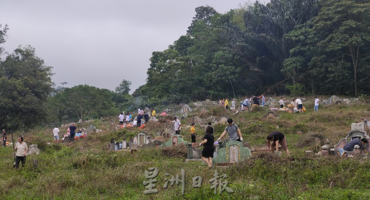 NS封底芙蓉/清明节正日最后一个周日，芙义山人头攒动