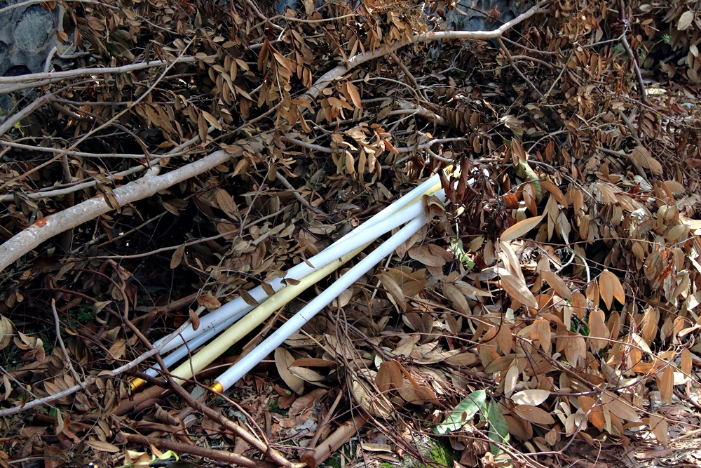 NS芙蓉/修剪树木工程留手尾,佳丽岭民宅区路肩堆满枯枝