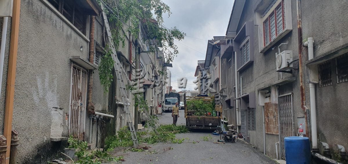 罗白选区荒废住家多,无人理且任由杂草丛生;邻居生活被困扰