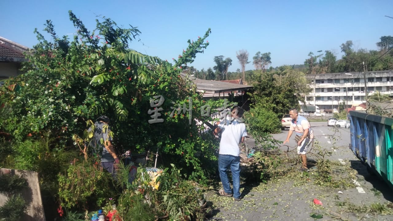 罗白选区荒废住家多,无人理且任由杂草丛生;邻居生活被困扰