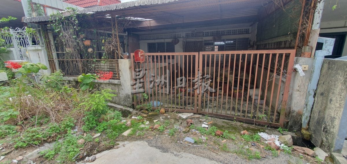 罗白选区荒废住家多，无人理且任由杂草丛生；邻居生活被困扰