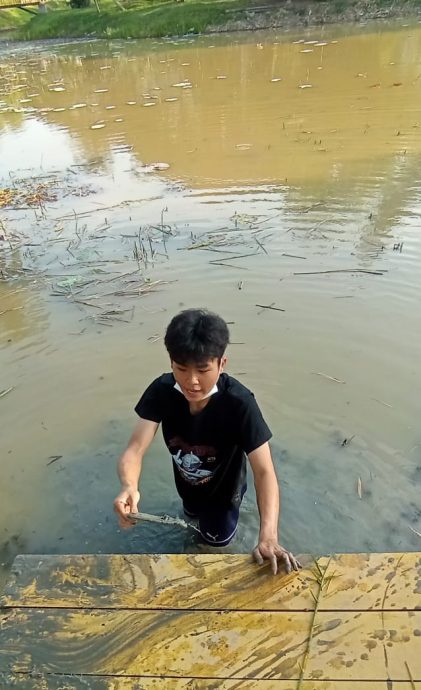 NS马口/湖底摸机