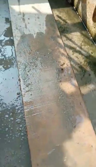 3/5见报//大霹雳封底主文／它的诞生：退休人士无师自通 废弃木块变手工艺品