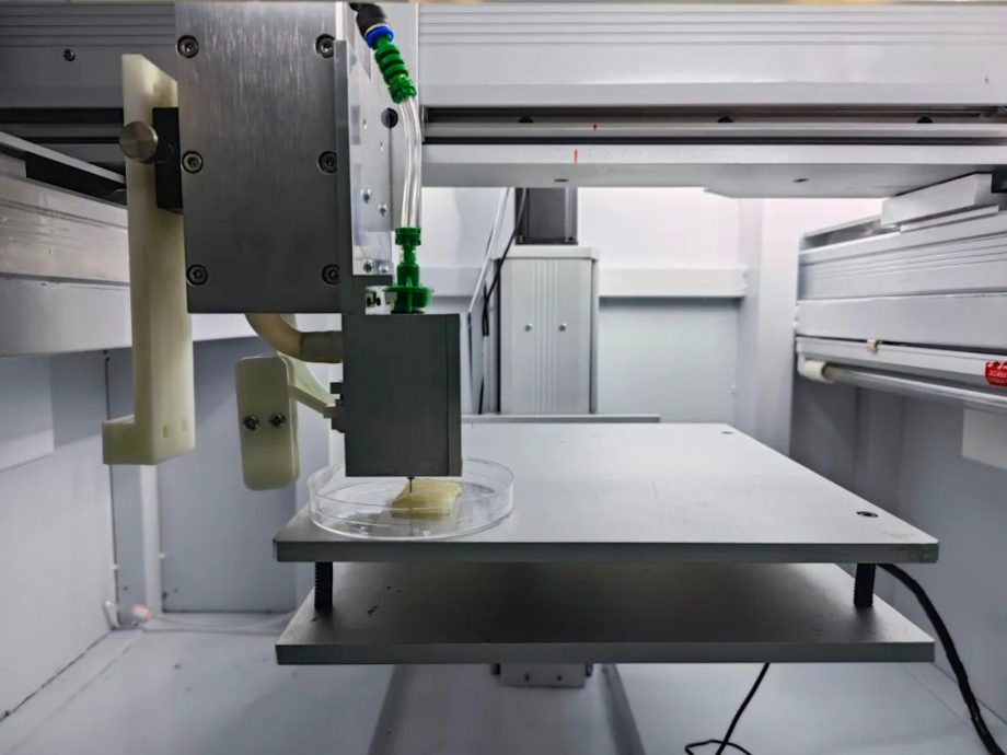 3D打印出鱼肉? 浙江大学:17天长成,与自然鱼肉别无二致