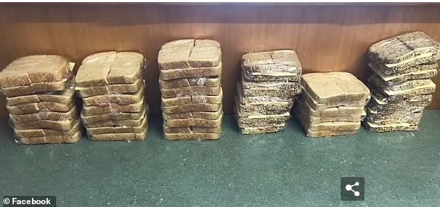 5分钟搞定孩子5星期便当 母亲“省时妙招”引网议