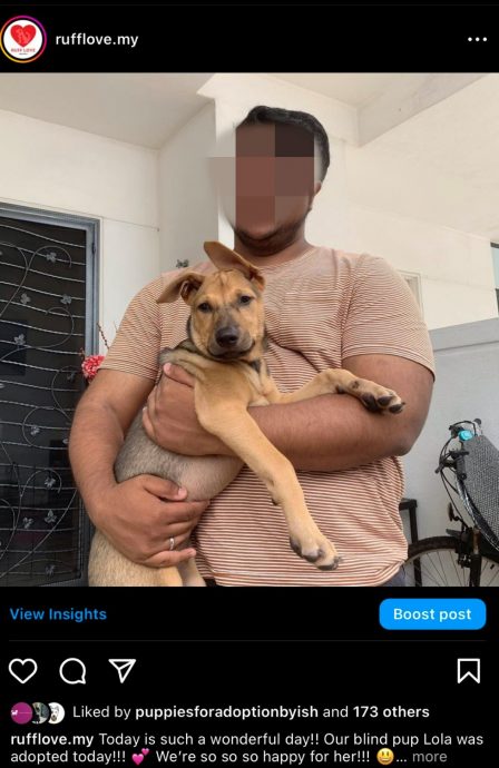 “别惹我,扎希是我继父” 男子被揭虐猫狗放话 扎希女儿致电对质 